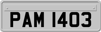 PAM1403