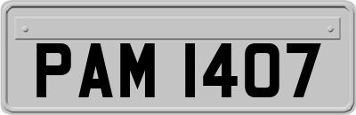 PAM1407