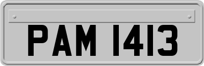 PAM1413