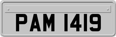 PAM1419