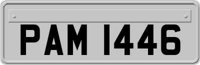 PAM1446