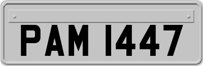 PAM1447