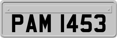 PAM1453