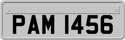 PAM1456