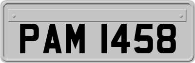 PAM1458