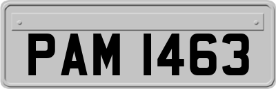 PAM1463