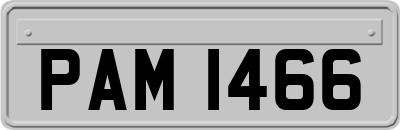 PAM1466