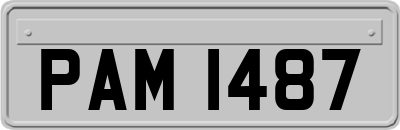 PAM1487