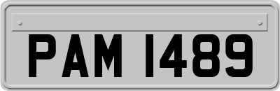 PAM1489