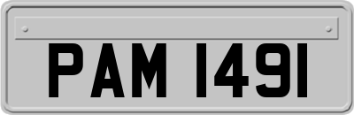 PAM1491