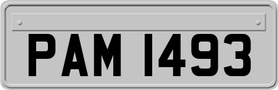 PAM1493