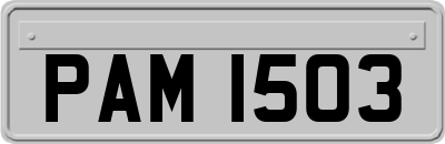 PAM1503