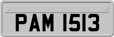 PAM1513