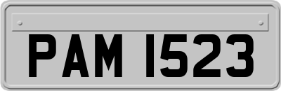 PAM1523
