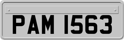 PAM1563