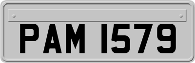 PAM1579