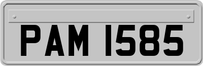PAM1585