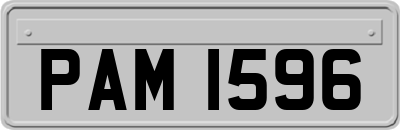PAM1596