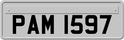 PAM1597