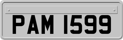 PAM1599