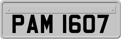 PAM1607