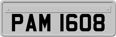 PAM1608