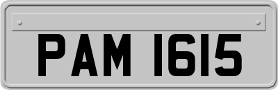 PAM1615