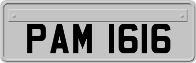 PAM1616