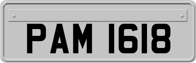 PAM1618