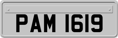 PAM1619