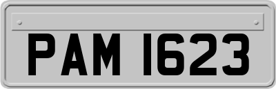PAM1623