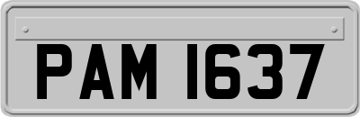 PAM1637