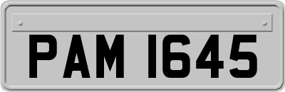 PAM1645