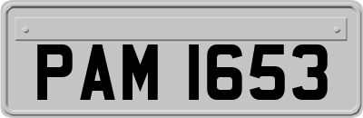 PAM1653
