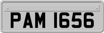PAM1656