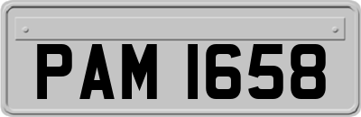 PAM1658