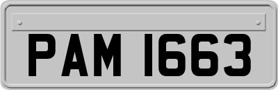 PAM1663