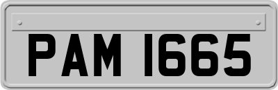 PAM1665