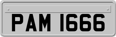 PAM1666