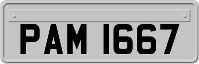 PAM1667