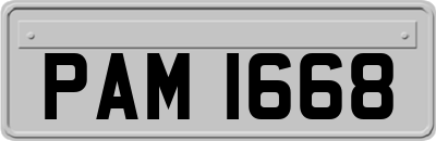 PAM1668