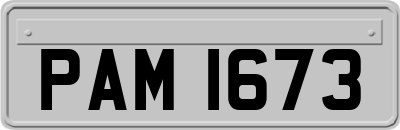 PAM1673