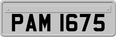 PAM1675