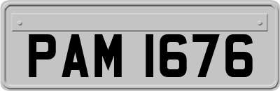 PAM1676