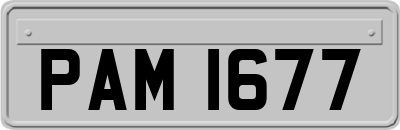 PAM1677