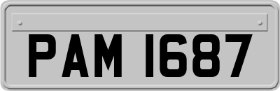 PAM1687