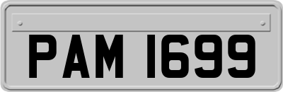 PAM1699