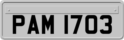 PAM1703