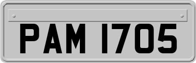 PAM1705