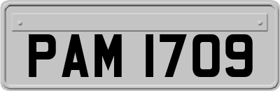 PAM1709